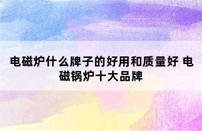 电磁炉什么牌子的好用和质量好 电磁锅炉十大品牌